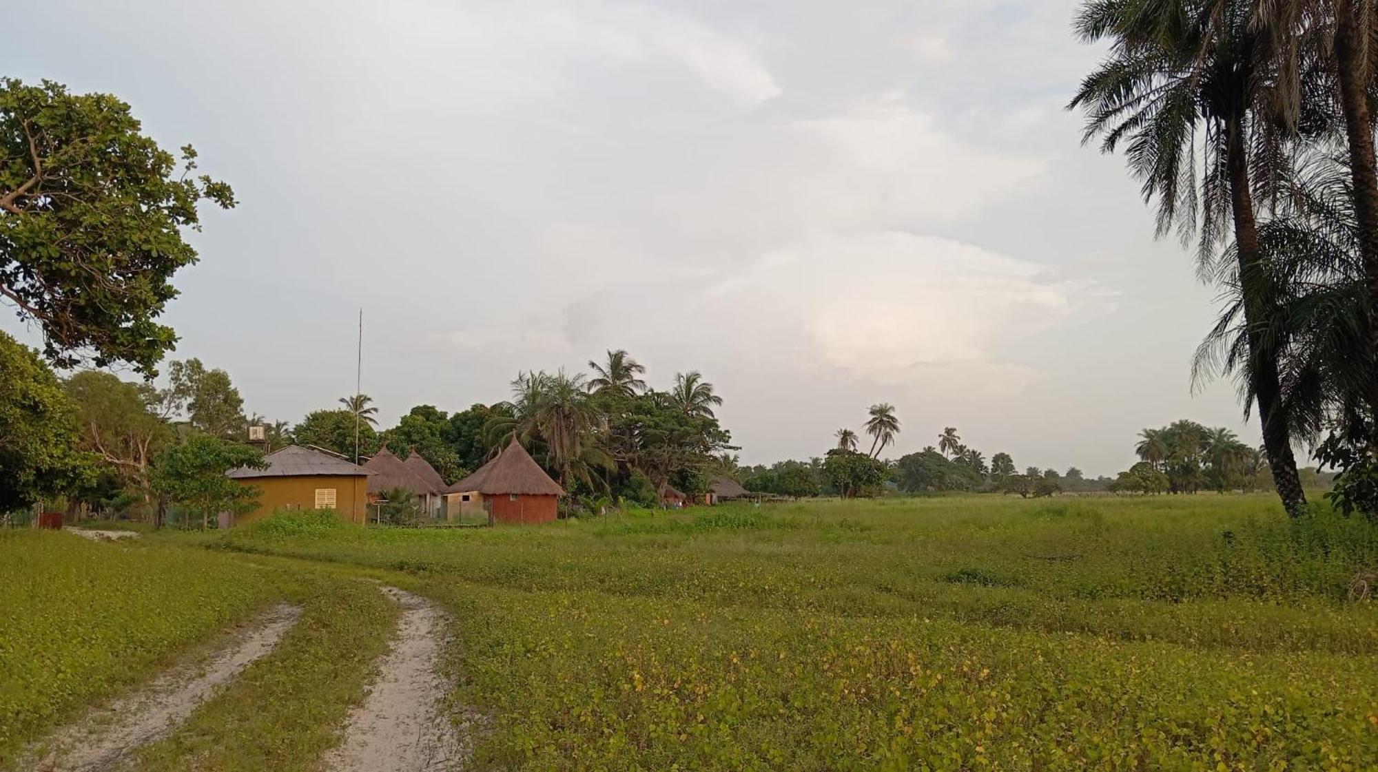 Campement Graine De Paradis Kachiouane Экстерьер фото